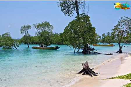 Havelock